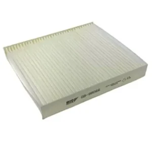 Фильтр салонный BigFilter GB98066