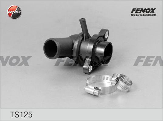 Термостат Fenox TS125