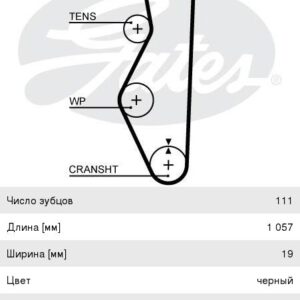 Ремень ГРМ Gates 5521XS