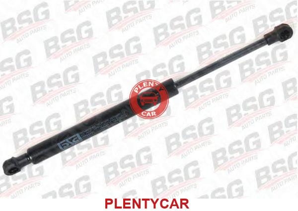 Упор газовый BSG30980016