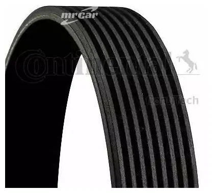 Ремень 8PK2100 Contitech