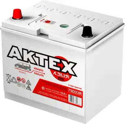 Аккумулятор Asia 65 А/ч п.п. Актех ток 550 232x173x225