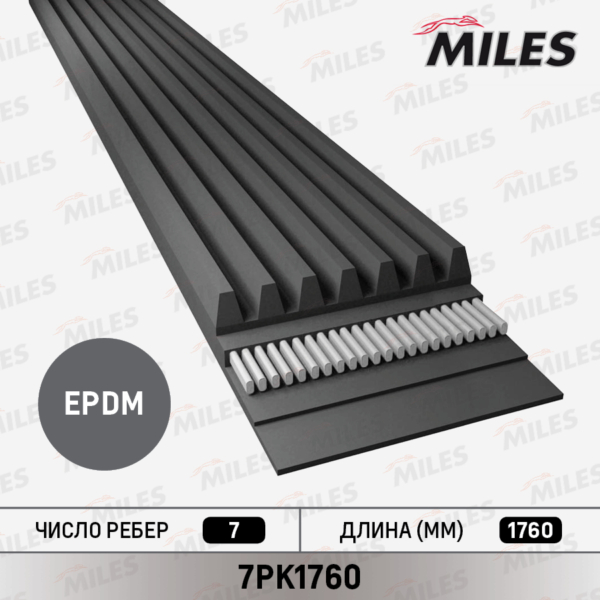 Ремень поликлиновый MILES
